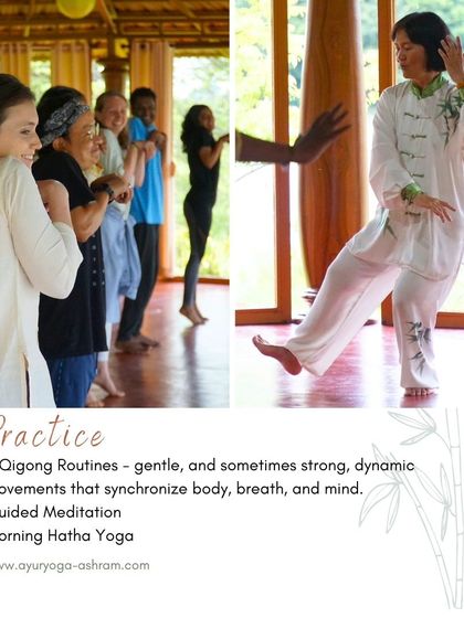 Captions will provide specific details about each retreat, its facilitators, and the daily activities, as seen in the media (e.g., "Learn the theory of Qigong and Traditional Chinese Medicine," "A serendipitous meeting at our ashram led to the creation of our Yin Yang Yoga retreat," "Daily offerings at our Bhakti retreat include kirtan and ecstatic dance.").