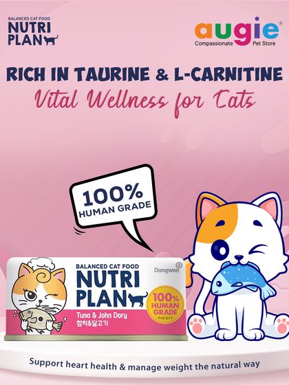 Augie Pets - Pet Supplies For Our Feline Friends: Premium Cat Nutrition photo 8