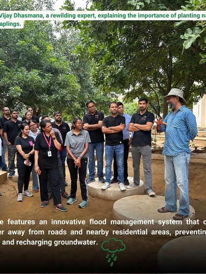Rewilding expert Vijay Dhasmana explains the innovative flood management system at Aravali Creek to the Osttra team, highlighting the importance of planting native species.