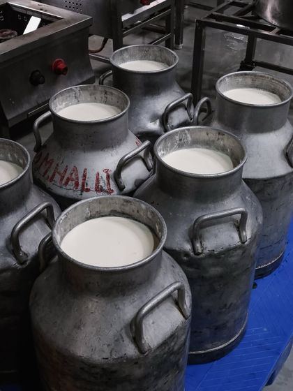 Cans of fresh milk, delivered and waiting to be transformed into our signature mozzarella. We make fresh batches multiple times a day to keep up with demand.