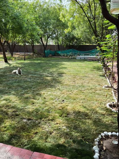 Delhi Gardner - Full-Service Landscaping Large-Scale Landscaping: Commercial & Residential Projects photo 60