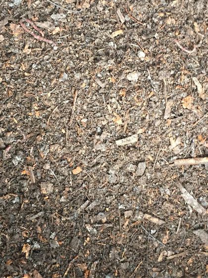 After sifting, the compost has a much finer texture. You can see the small pieces of wood chips and other carbon materials that are part of our balanced compost recipe.