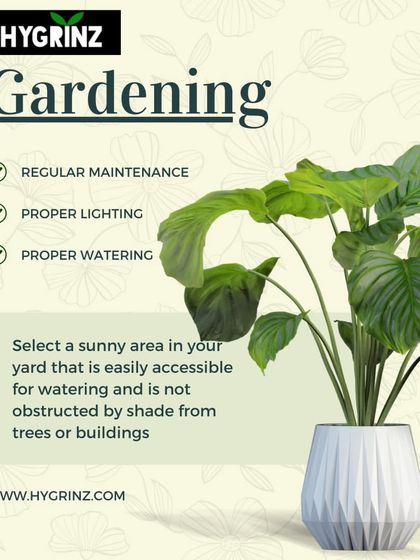 Hygrinz - Garden Maintenance Gardening Know-How: Tips & Techniques photo 35