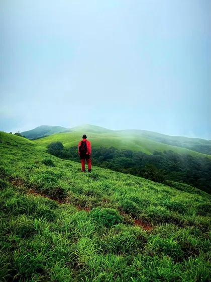 Making my way up a misty trail in the Bandaje region. The path itself is an adventure, surrounded by dense greenery.
