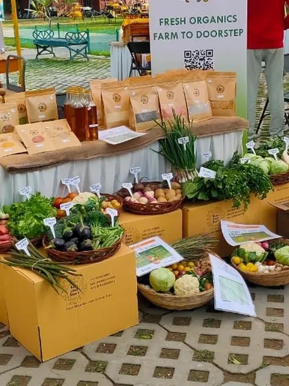 You can often find us at local community markets and pop-ups. Here is our stall, showcasing a fresh harvest of organic vegetables, pantry items, and festive hampers. We love meeting you in person and sharing our story.