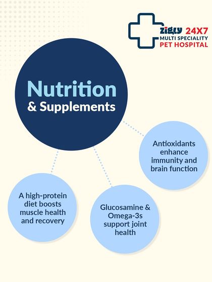 Zigly - Pet Supplies Expert Pet Care Advice photo 23