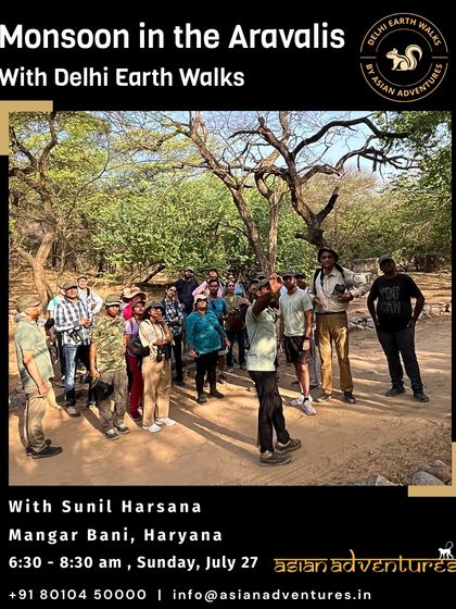 Moments From Our Walks photo 7