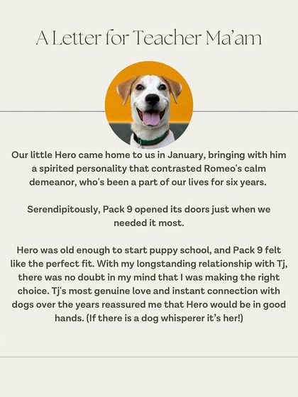 The start of Hero's family's letter, explaining why they felt Pack-9 was the perfect fit for their new puppy.