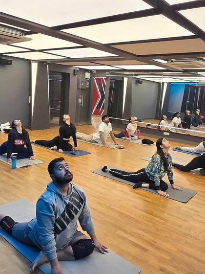 Deep Dive: Studio Asana & Technique photo 43