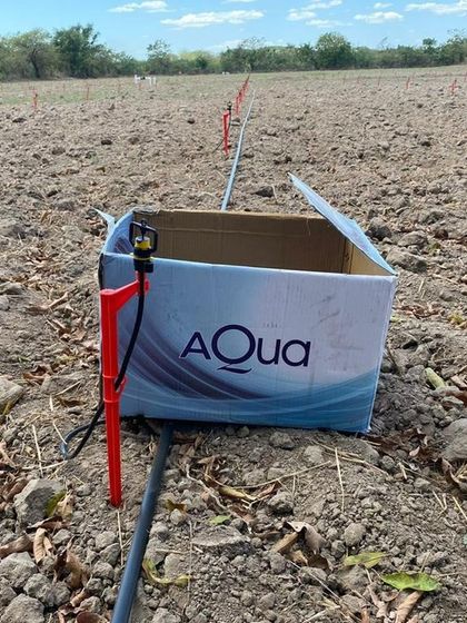Our AQ-206PC micro sprinklers being set up in a field in Vietnam. This shows our products being deployed for real-world agricultural applications globally.