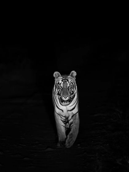 The Art of Seeing: Creative Compositions photo 6