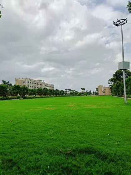 An expansive lawn from the Dalal Bagh garden development project in Vadodara. This highlights my team's ability to handle massive public park projects, delivering acres of healthy, green turf.