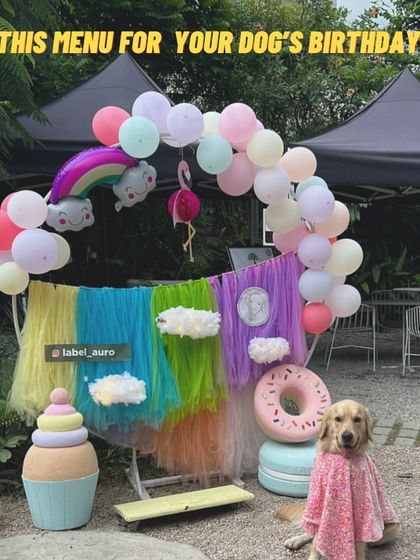 An elaborate and colorful outdoor party setup for a Golden Retriever's birthday. Our cakes and treats are the perfect addition to any menu.