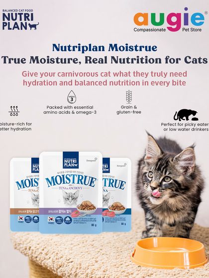 Augie Pets - Pet Supplies For Our Feline Friends: Premium Cat Nutrition photo 3