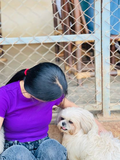 A quiet, tender moment as a visitor leans down to connect with a small Shih Tzu.