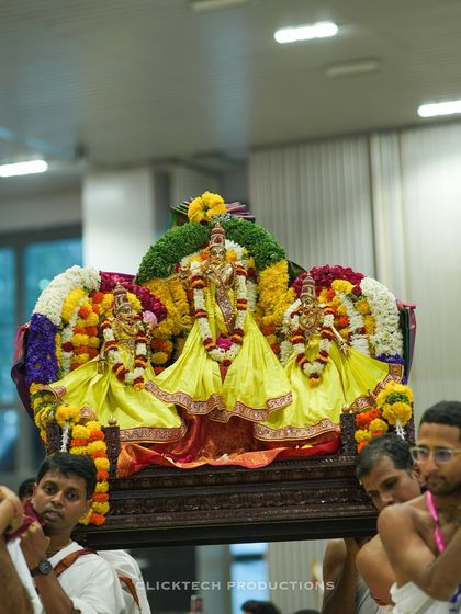 This collection demonstrates my versatility in capturing different types of events and portrait styles, from dynamic concert photography to curated fashion and model portfolio shoots in both studio and outdoor settings.