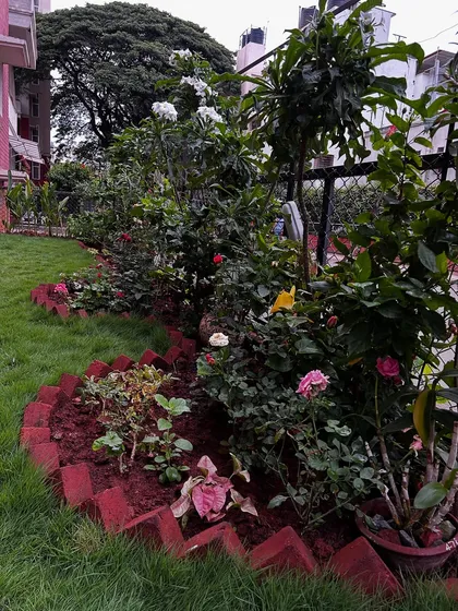 This curved flower bed is filled with a variety of colorful roses and other seasonal flowers, defined by a neat brick edge. Proper soil preparation and plant spacing are key to creating these dense, beautiful borders that add structure and color to a garden.