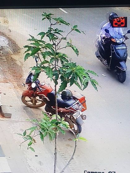 Sadwini Infotech - Security System Installation Commercial & Business Security photo 30