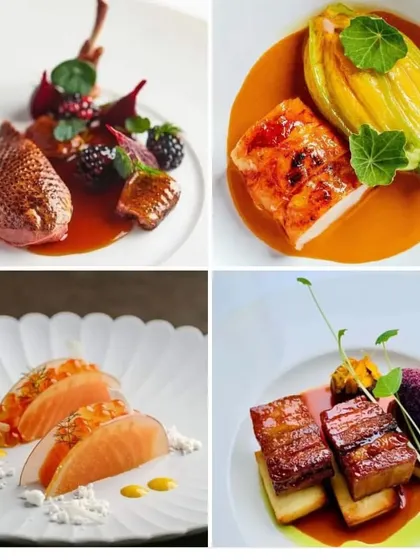 A sample of our fine dining menu options. This collage features perfectly cooked duck, pork belly, and fish, each plated with unique sauces and accompaniments.