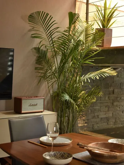 This dining area is a perfect blend of minimalism and practicality. The clean lines of the furniture are softened by the addition of lush green plants, adding a natural touch to the space.