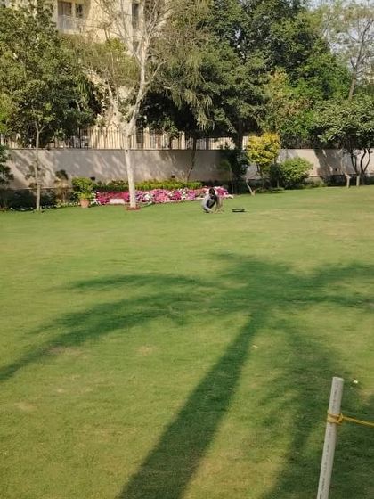 A large residential lawn with the shadow of a palm tree cast across it. We ensure large lawns are perfectly graded and maintained for a carpet-like appearance.