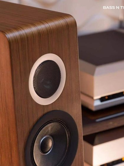 For the Audiophile: High-Fidelity Stereo Setups photo 40