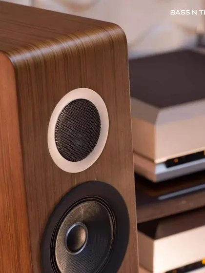 A close-up of the TAD Evolution Two, showing the seamless integration of the tweeter and woofer. The cast aluminum waveguide ensures smooth, controlled sound dispersion.