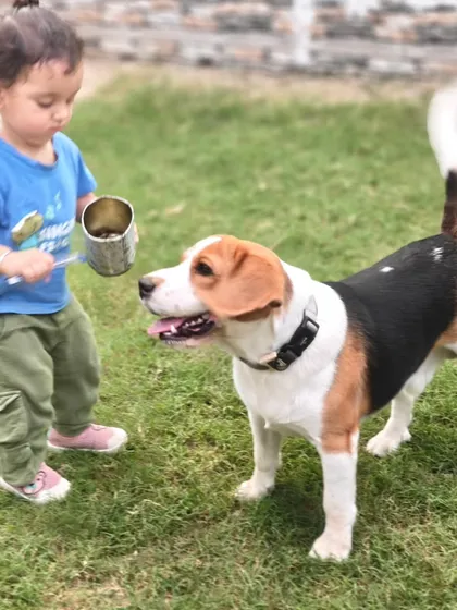 We provide a safe and friendly environment for children and dogs to interact. This gentle introduction helps build a beautiful bond based on trust and happiness.