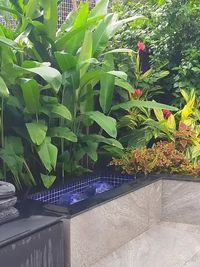 Landscaping & Garden Services