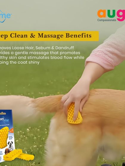 Augie Pets - Pet Grooming Services Brushes, Clippers & Essential Tools photo 5