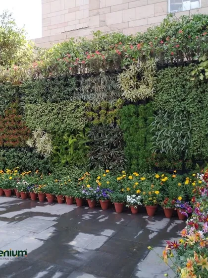 A large-scale living wall installed at a restaurant's outdoor seating area. This beautiful, patchwork-style garden creates a serene and inviting atmosphere for diners.