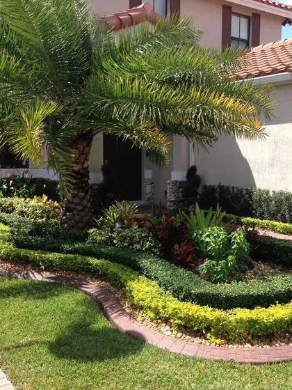 This front yard features layered, curving garden beds filled with a variety of shrubs and groundcover plants. The design adds depth and visual interest, softening the edges of the lawn and drawing attention to the mature palm tree.