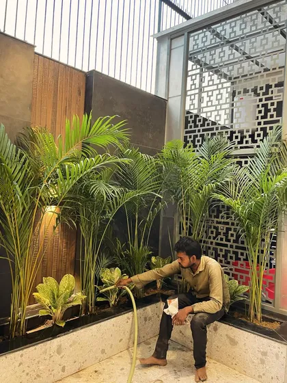 Postcards from a busy April. Here's my team member watering a newly planted indoor garden bed. We always make sure every plant is settled in properly.