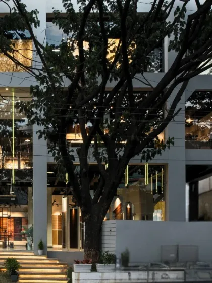 The Aaren Intpro showroom facade at dusk, where the building's form is softened by the silhouette of a large tree, blending the built and natural environments.