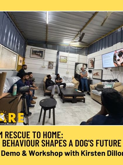 Charlie's Animal Rescue Centre - Community Outreach & Education Education & Empowerment photo 3