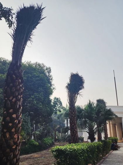 Delhi Gardner - Full-Service Landscaping Large-Scale Landscaping: Commercial & Residential Projects photo 48