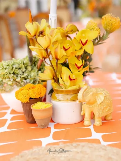 Vibrant Pre-Wedding Festivities photo 24