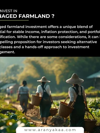 We provide a compelling proposition for investors seeking alternative asset classes. Our managed farmland offers a unique blend of stable income, inflation protection, and portfolio diversification with a hands-off approach.