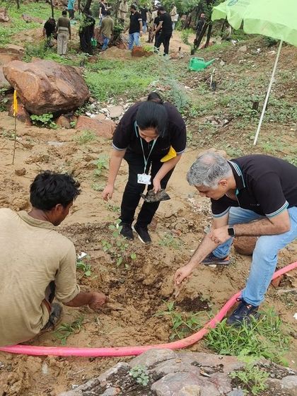 The leadership team from Colt Technology Services gets hands-on, working with our team to plant saplings and lead by example.