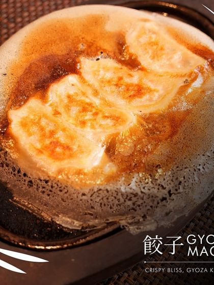 Gyoza Magic. This image captures the golden, crispy perfection of our pan-fried dumplings, a truly magical bite.