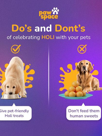 PawSpace - Fresh Pet Food Delivery Expert Pet Care & Nutrition Advice photo 10