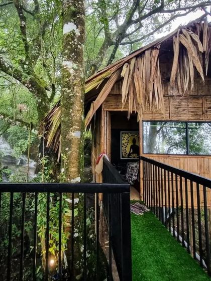 A close-up of the beautifully crafted treehouse, showing the walkway and the lush green surroundings.