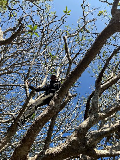 Who says you can't have a little fun on the way up? Taking a break to climb a beautiful, bare-branched tree on the Savandurga trail.