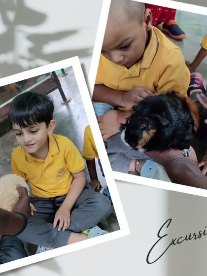 Ace Montessori - Summer Camp Outdoor Adventures & Excursions photo 23