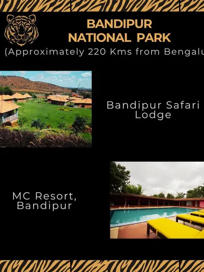 Bandipur National Park is just 220 kms from Bangalore and offers incredible tiger and elephant sightings. I recommend the Bandipur Safari Lodge for an authentic jungle experience or MC Resort for more comfort.