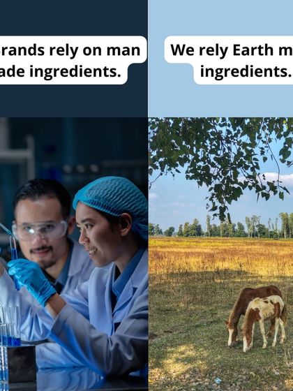 We rely on earth made ingredients, not man made ones. This image shows our philosophy. We believe in the power of nature, sourcing our ingredients from fields and farms, not labs.