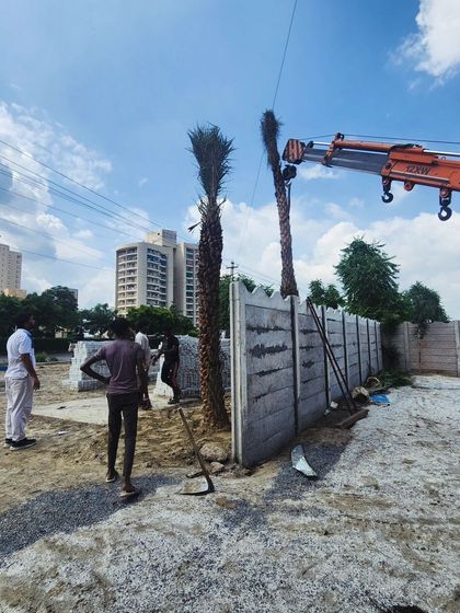 Delhi Gardner - Full-Service Landscaping Statement Trees & Sculpted Topiaries photo 18
