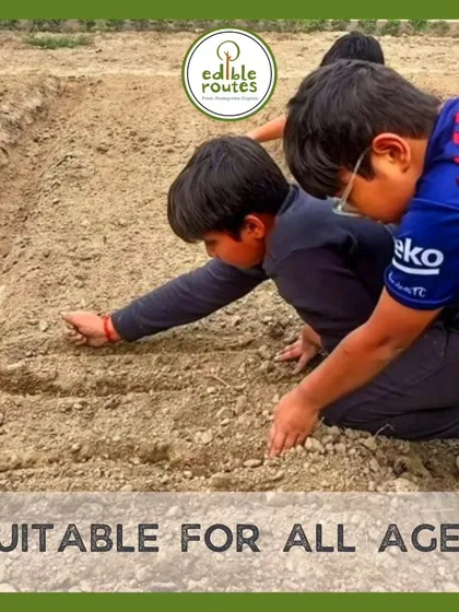 The process of gardening is suitable for all ages. We love teaching children how to sow seeds, giving them a hands-on connection to their food and the natural world.