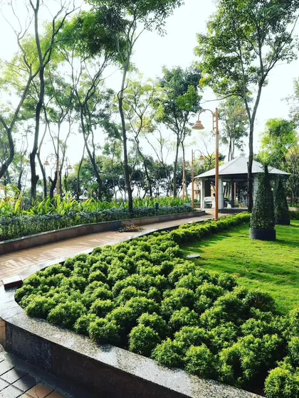 This is a view of a large park project I designed and installed. The space features manicured lawns, curated plant beds with sculpted shrubs, and winding paved pathways that invite exploration, all framed by mature trees.