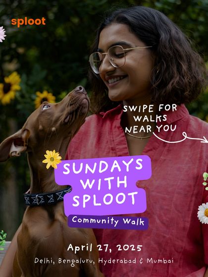 A beautiful shot of a dog looking up at her human, capturing the bond that our community walks help to strengthen.